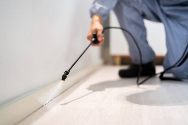 Licensed Wasp Removal service in Checotah, OK - Show Me Pest Control