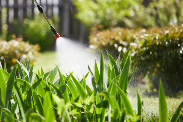 24/7 Emergency Wasp Removal experts in Checotah, OK
