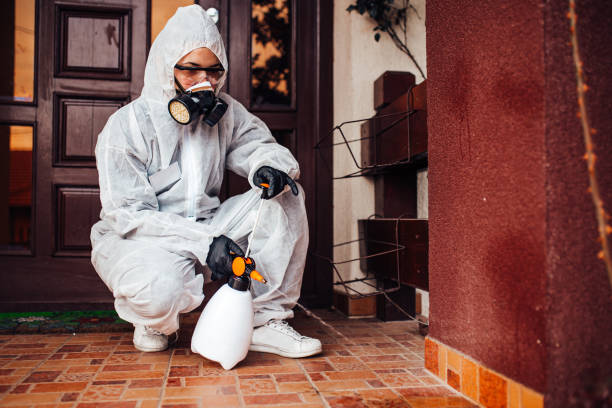 Reliable Wasp Removal contractor in Checotah, OK by Show Me Pest Control