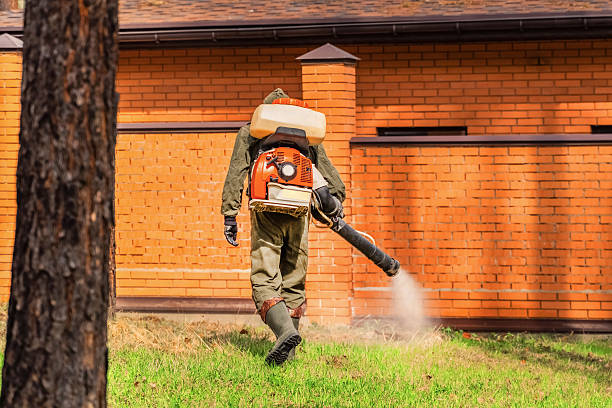 Top rated local Wasp Removal specialists in Checotah, OK